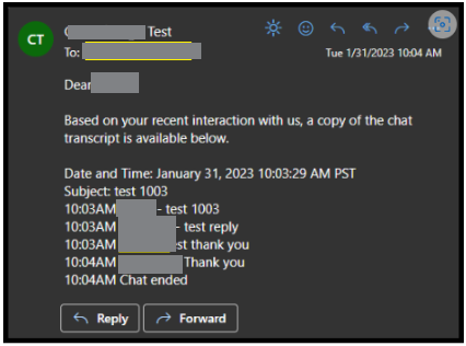 Digital Engagement | What Is The Chat Transcript Content?